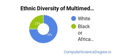 Web & Multimedia Design Majors in MS Ethnic Diversity Statistics