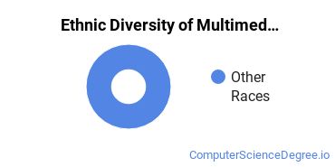 Web & Multimedia Design Majors in NV Ethnic Diversity Statistics