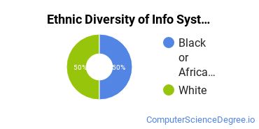 Information Systems Majors in NC Ethnic Diversity Statistics