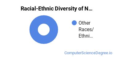 Racial-Ethnic Diversity of Networking Doctor's Degree Students